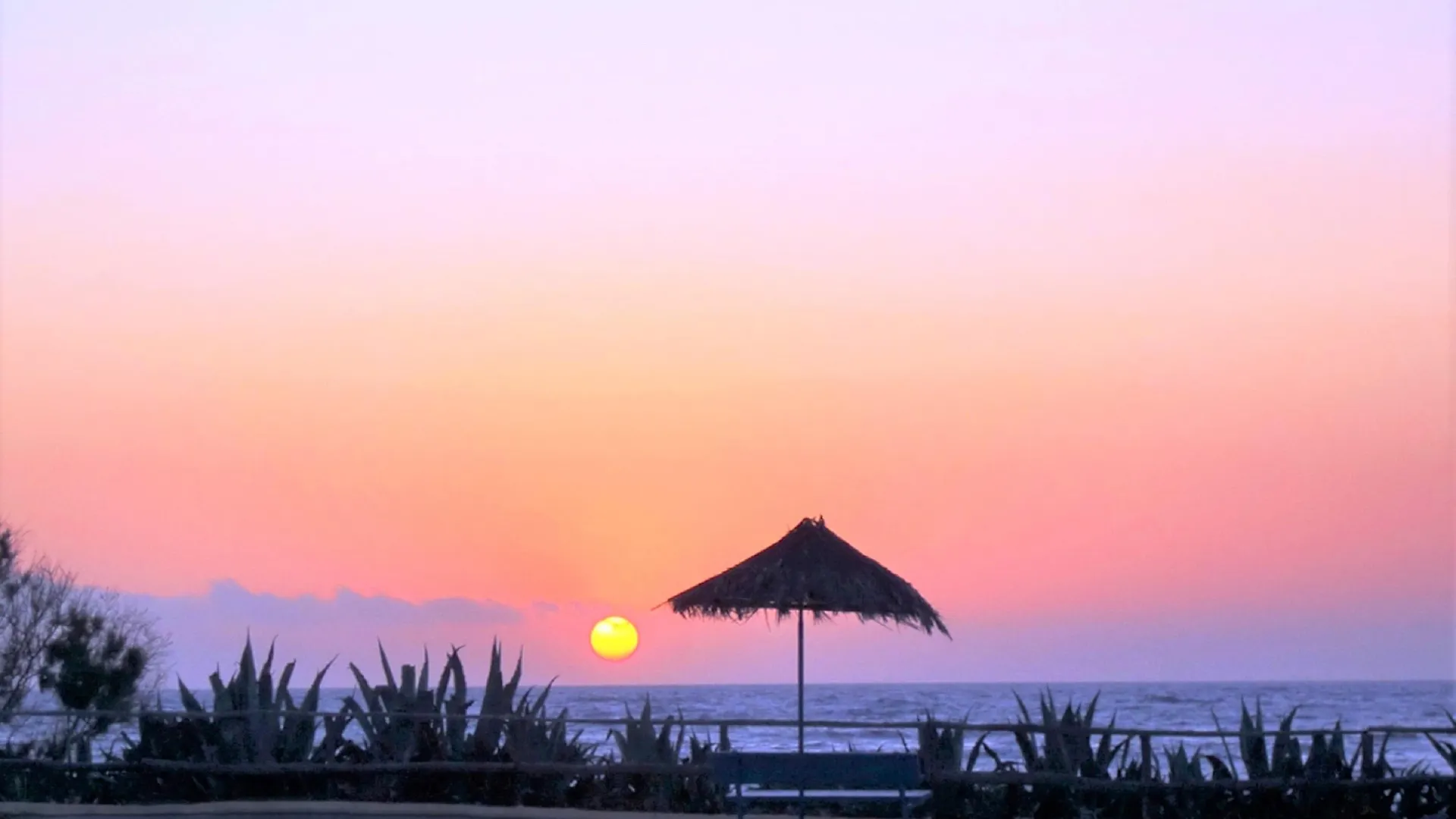 Hotel apartamentowy Zorbas Beach Village Hotel Stavrós